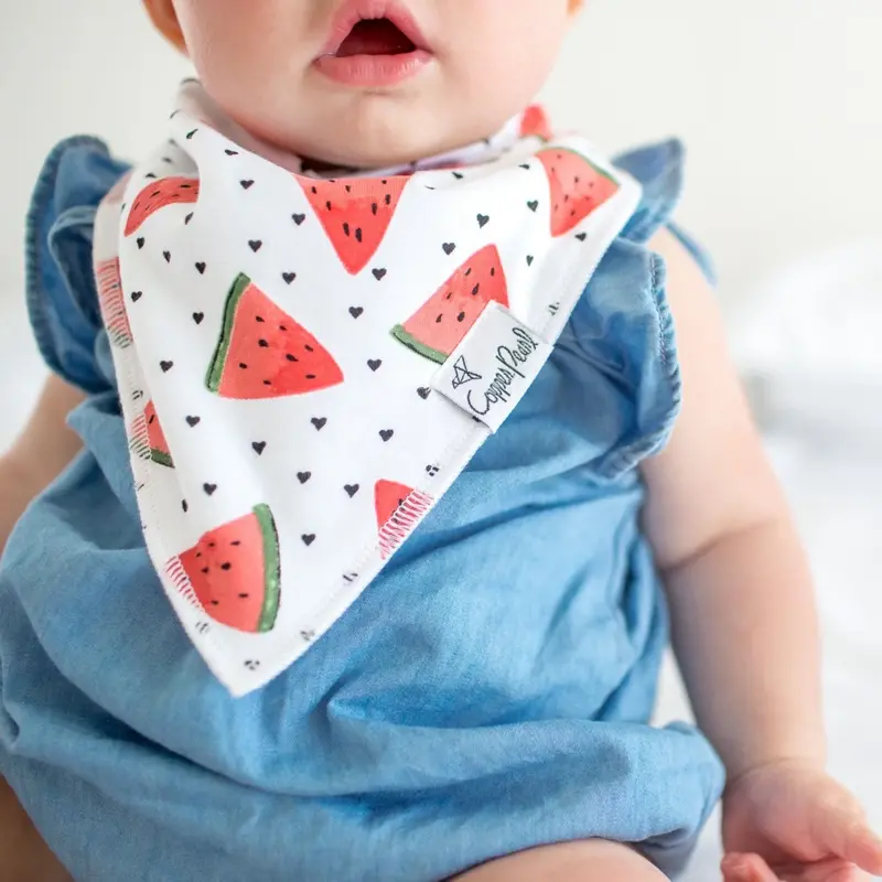 Copper Pearl Copper Pearl Georgia Baby Bandana Bib Set (4-pack)