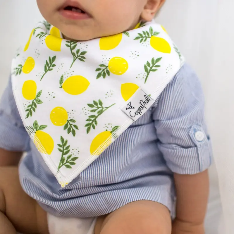 Copper Pearl Copper Pearl Georgia Baby Bandana Bib Set (4-pack)