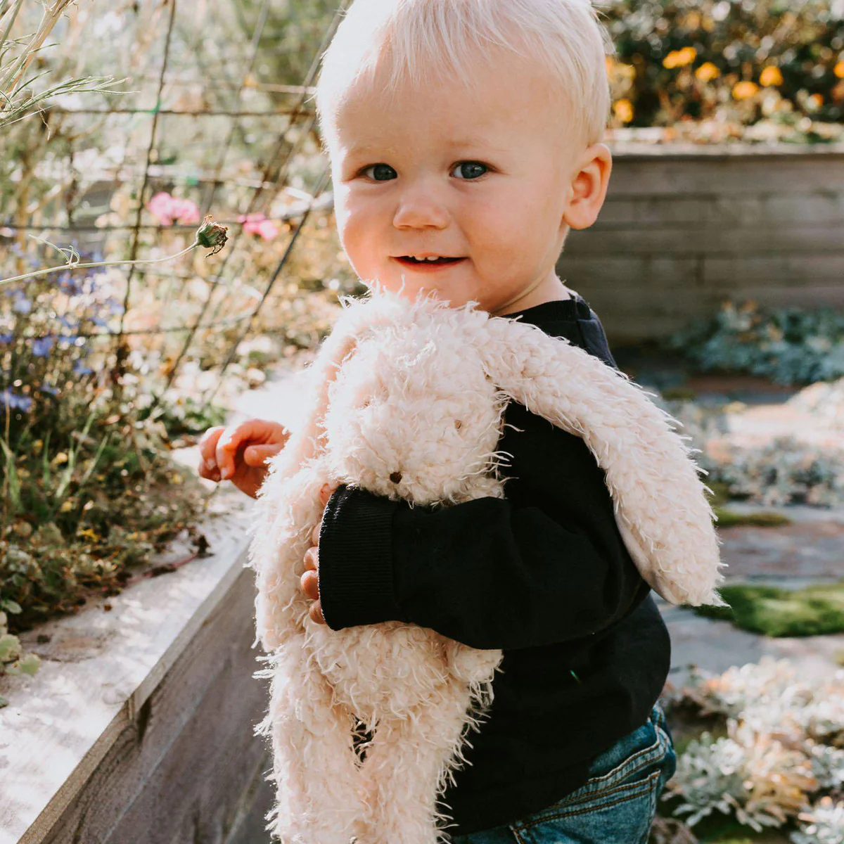 Bunnies by the Bay Bunnies by the Bay Harey the Bunny