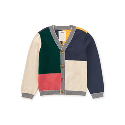 Tea Collection Tea Colorblock Sweater