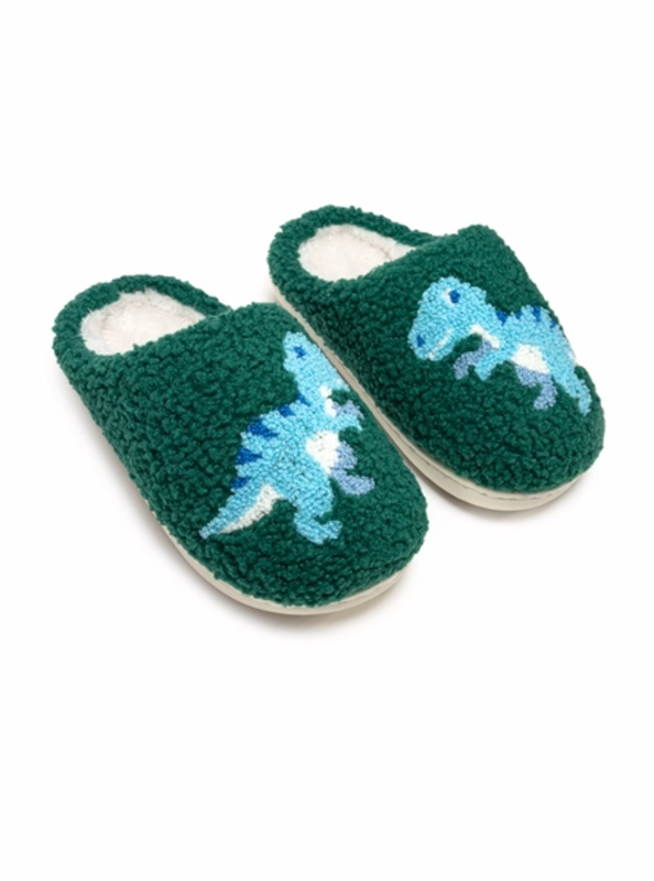 Living Royal Indoor/Outdoor Slippers-Dinosaurs
