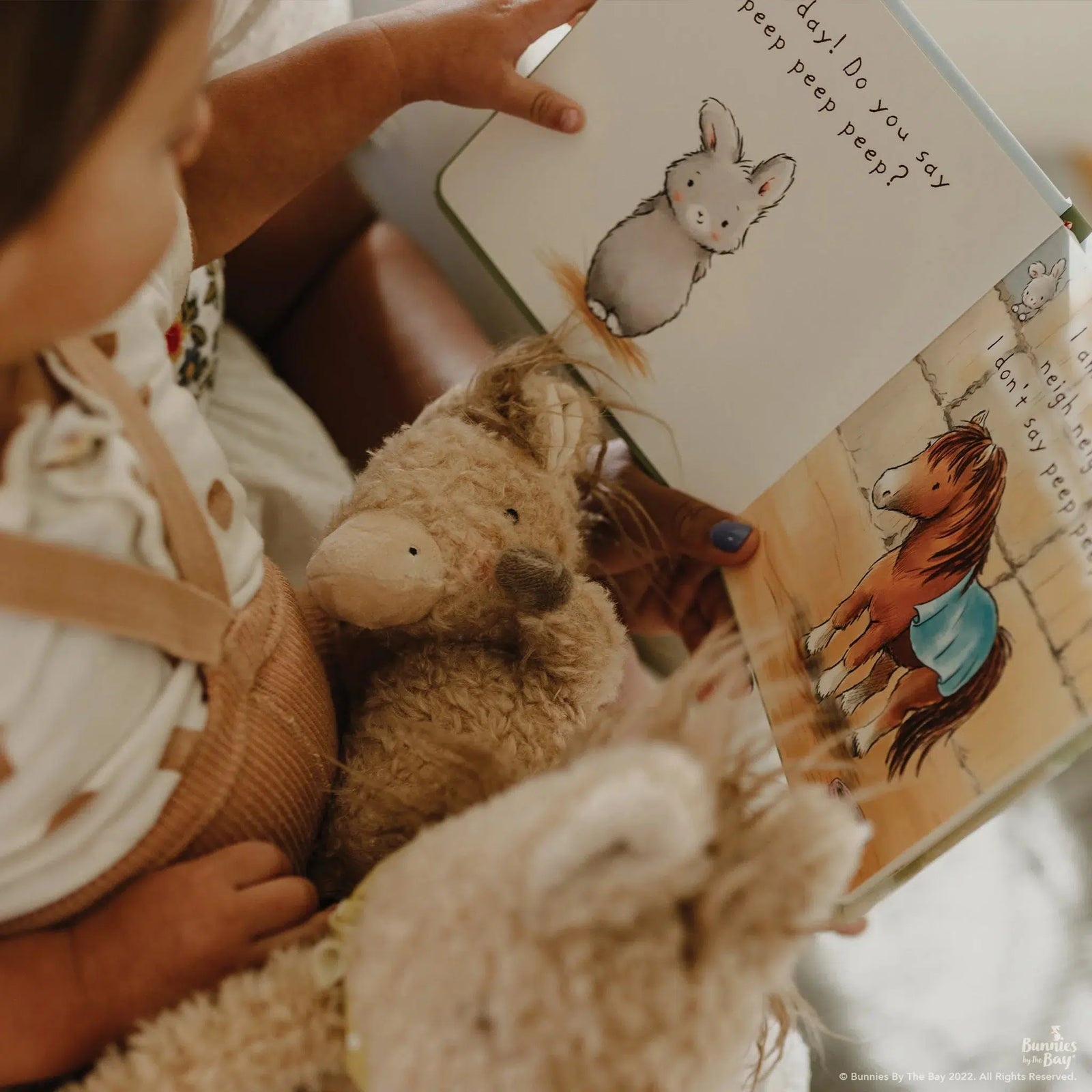 Bunnies by the Bay Bunnies by the Bay Wee Pony Boy the Horse