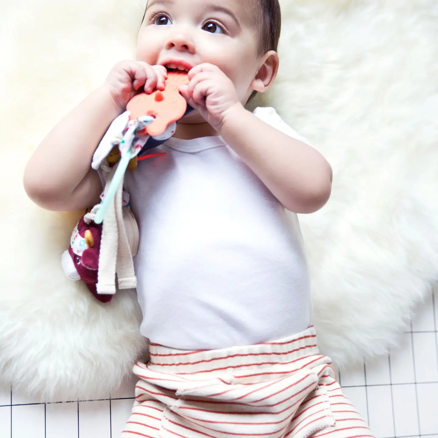 Janod Janod Farm Sensory Keyring