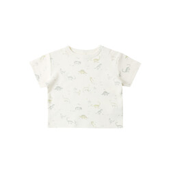 Quincy Mae Quincy Mae Dinosaur Boxy Tee