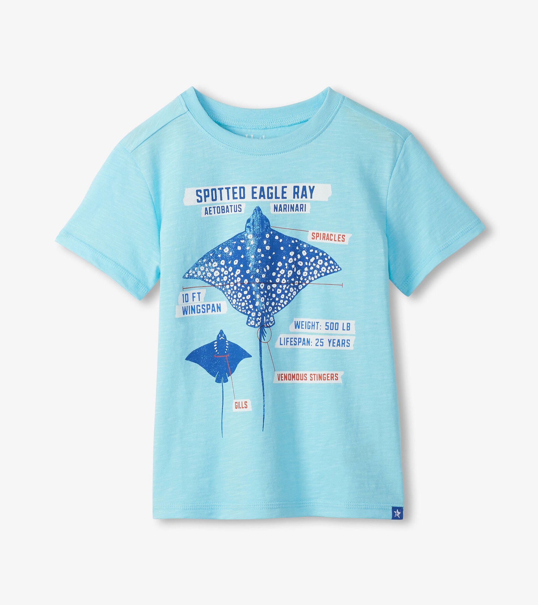 Hatley Hatley Sting Ray Graphic Tee