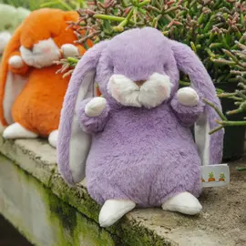 Bunnies by the Bay