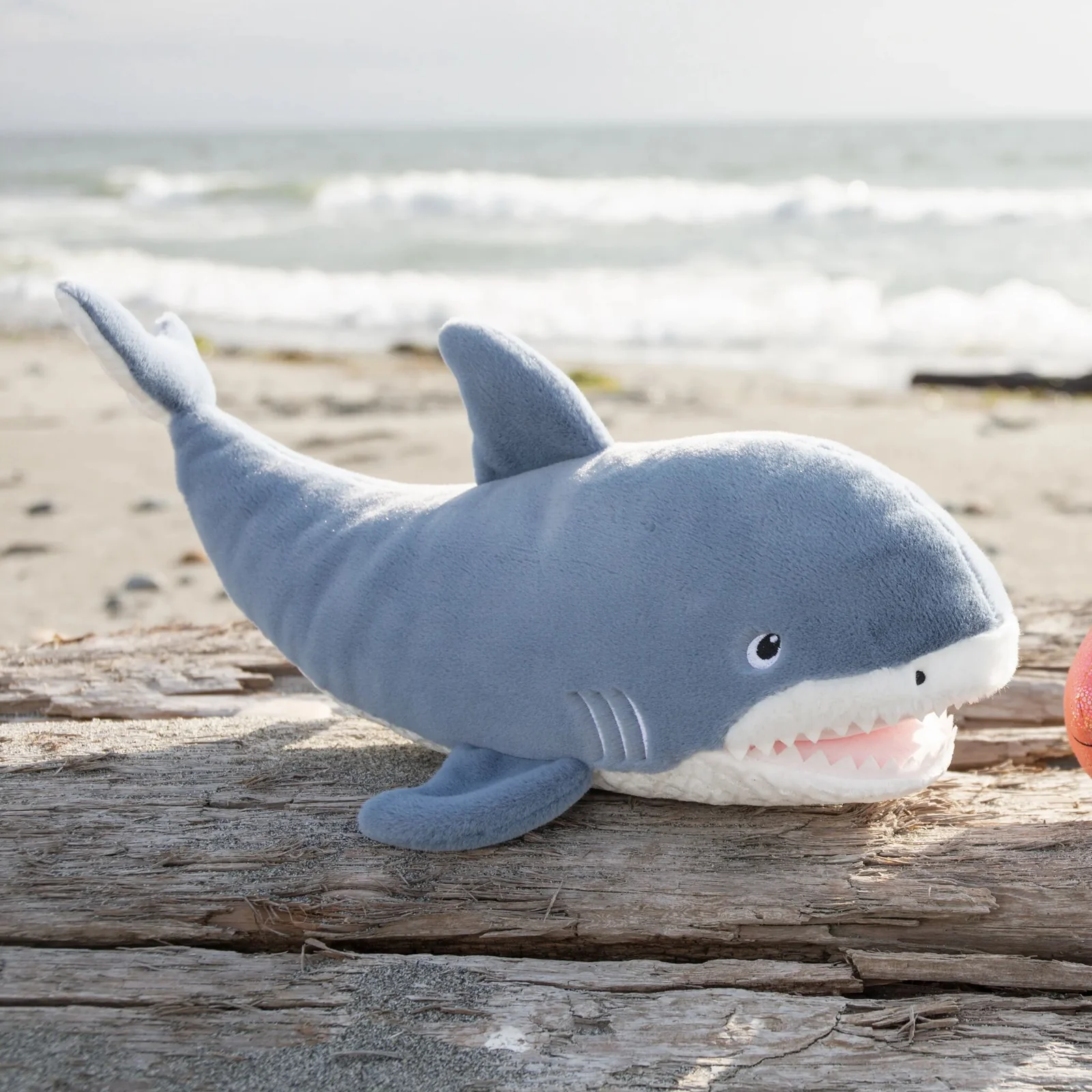 Bunnies by the Bay Bunnies by the Bay Axel the Shark