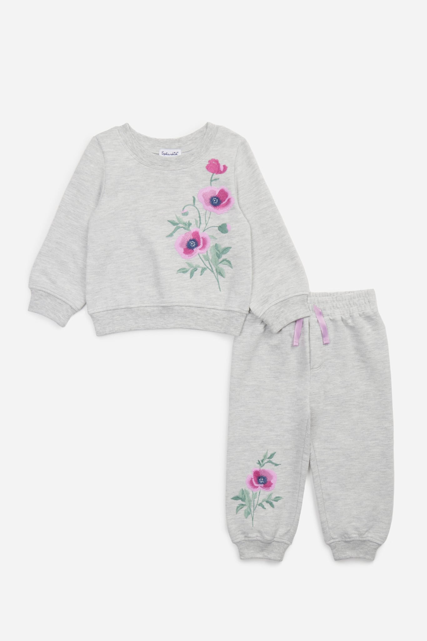 Splendid Splendid Sage Flower Sweatshirt Set