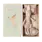 maileg Tooth fairy mouse, Little sister in matchbox
