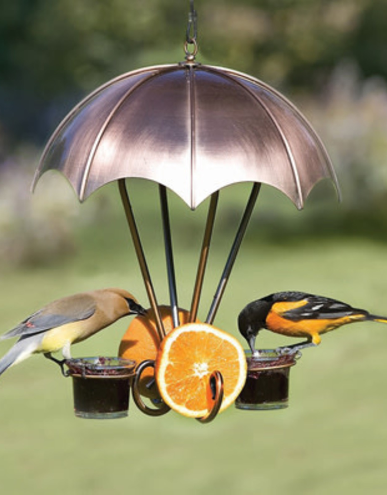 WLCOPWL02 Copper Oriole Feeder with Umbrella The Birdhouse Nature Store