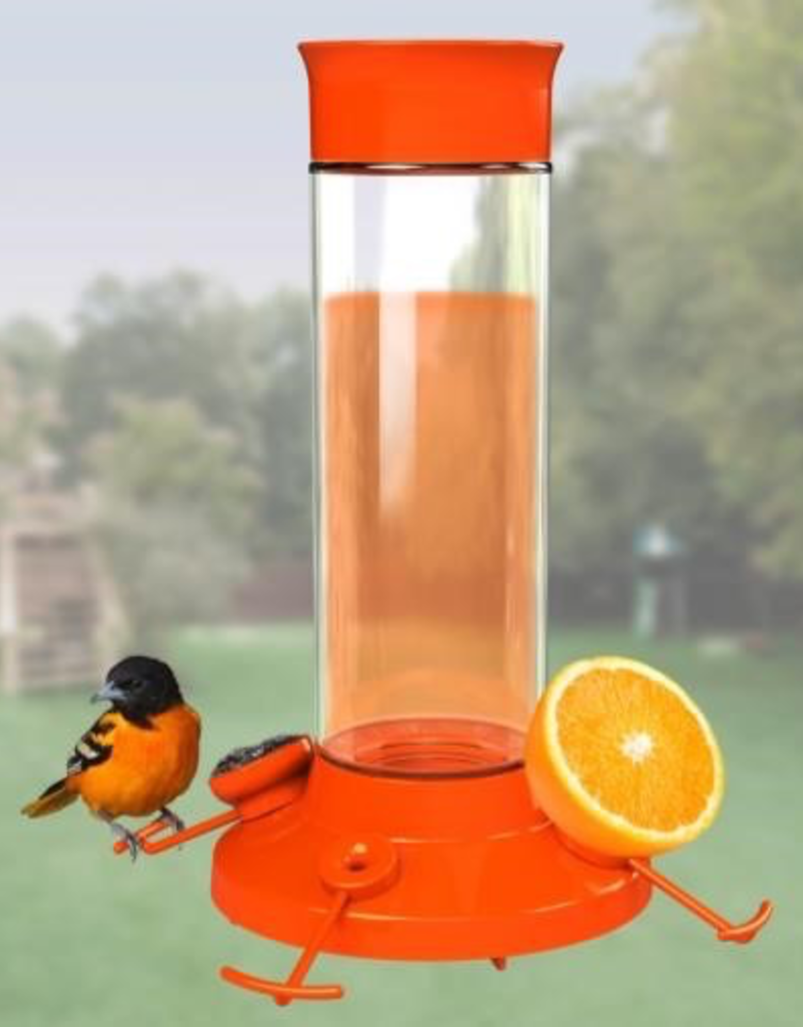 Perky Pet YH209BO Glass Oriole Feeder