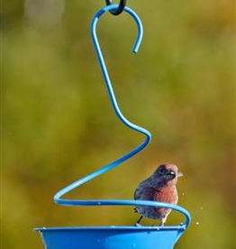 Woodlink WK24852-32235 Mealworm / Bluebird Feeder