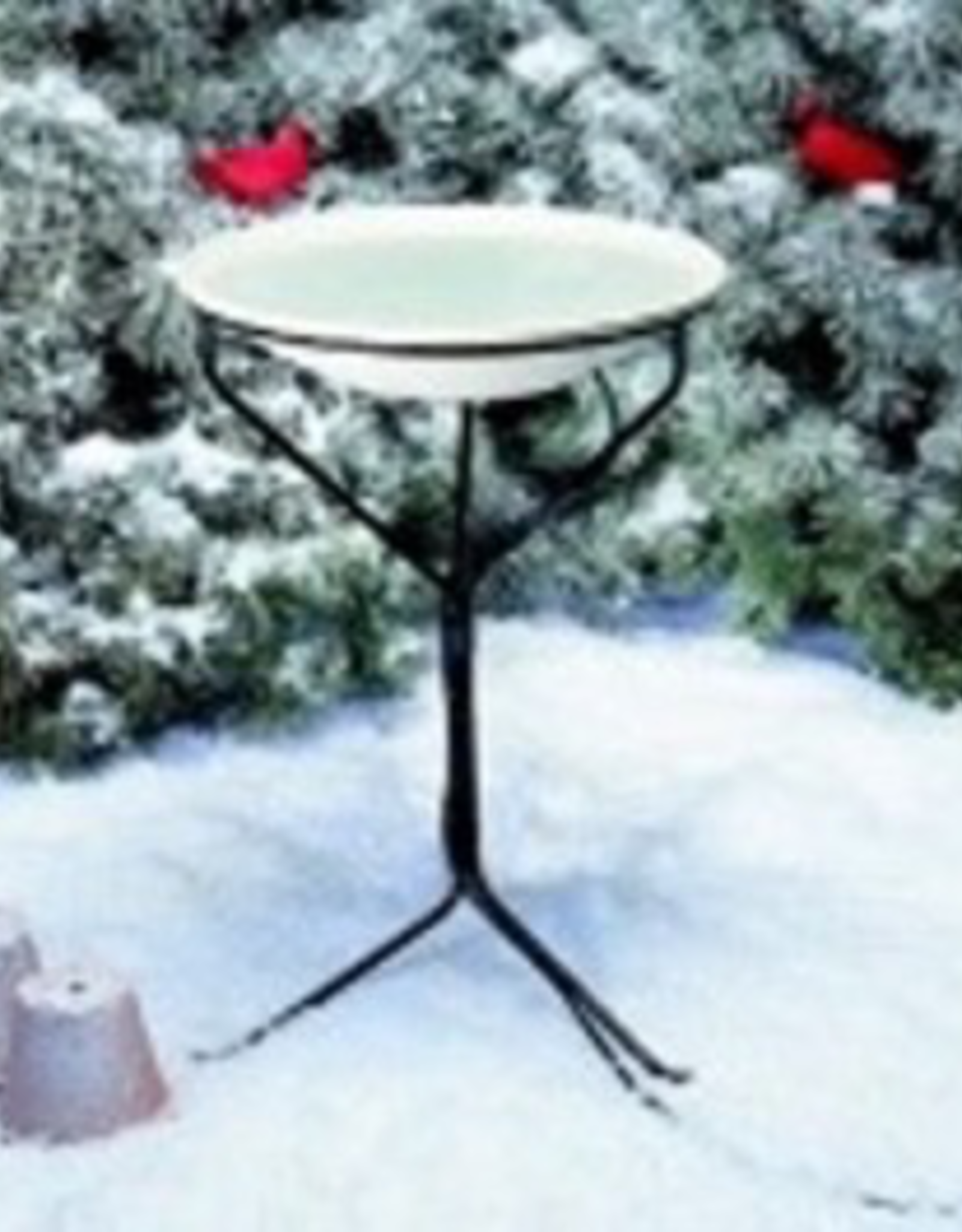 API YH970 Heated Bird Bath with Stand