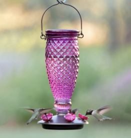 Perky Pet 9102-2 Glass Purple Diamond Hummingbird Feeder - 24oz