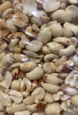 Mill Creek/Seed PH50 Roasted Peanut Halves 50lb bag