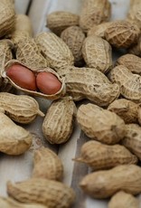 Mill Creek/Seed SHELL50 Roasted Peanuts in Shell - special order