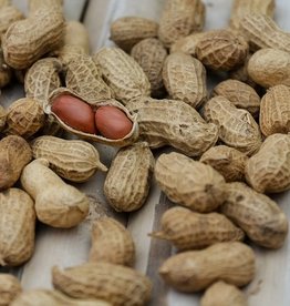 Mill Creek/Seed SHELL50 Roasted Peanuts in Shell - special order