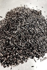 Mill Creek/Seed NYJER50 50LB  50lb of Premium nyjer