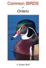 Calypso BTLCBO Common Birds of Ontario. Printed in Canada.