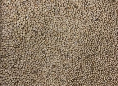 Millet or Distlefinch Mix