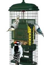 Brome/Squirrel Buster SQB1106 Squirrel Buster Suet Feeder