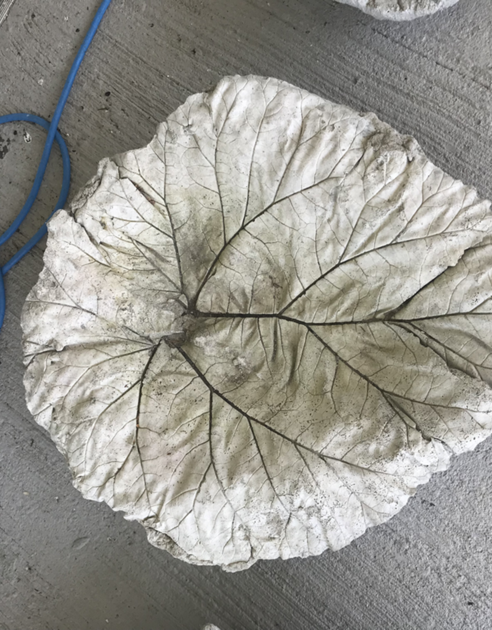 Brookside Cottage BCSMRHB SMALL RHUBARB BIRDBATH CEMENT