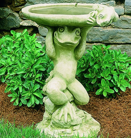 Campania CIB063 Cast Stone Whimsical Frog Birdbath in Natural