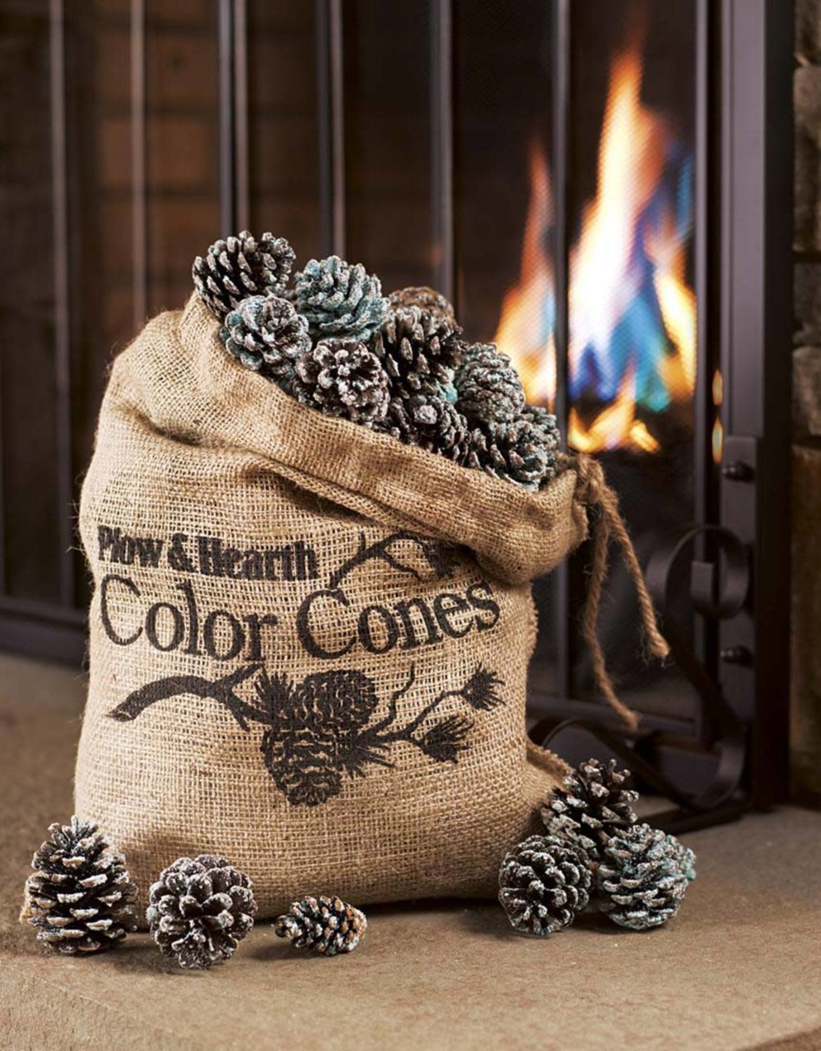 EE2857 1LB Basket of Fire Color Cones
