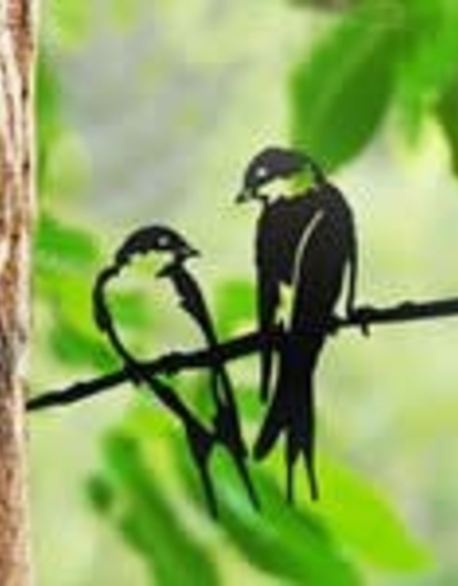 PANAM PUI019 Swallows Tree Stake
