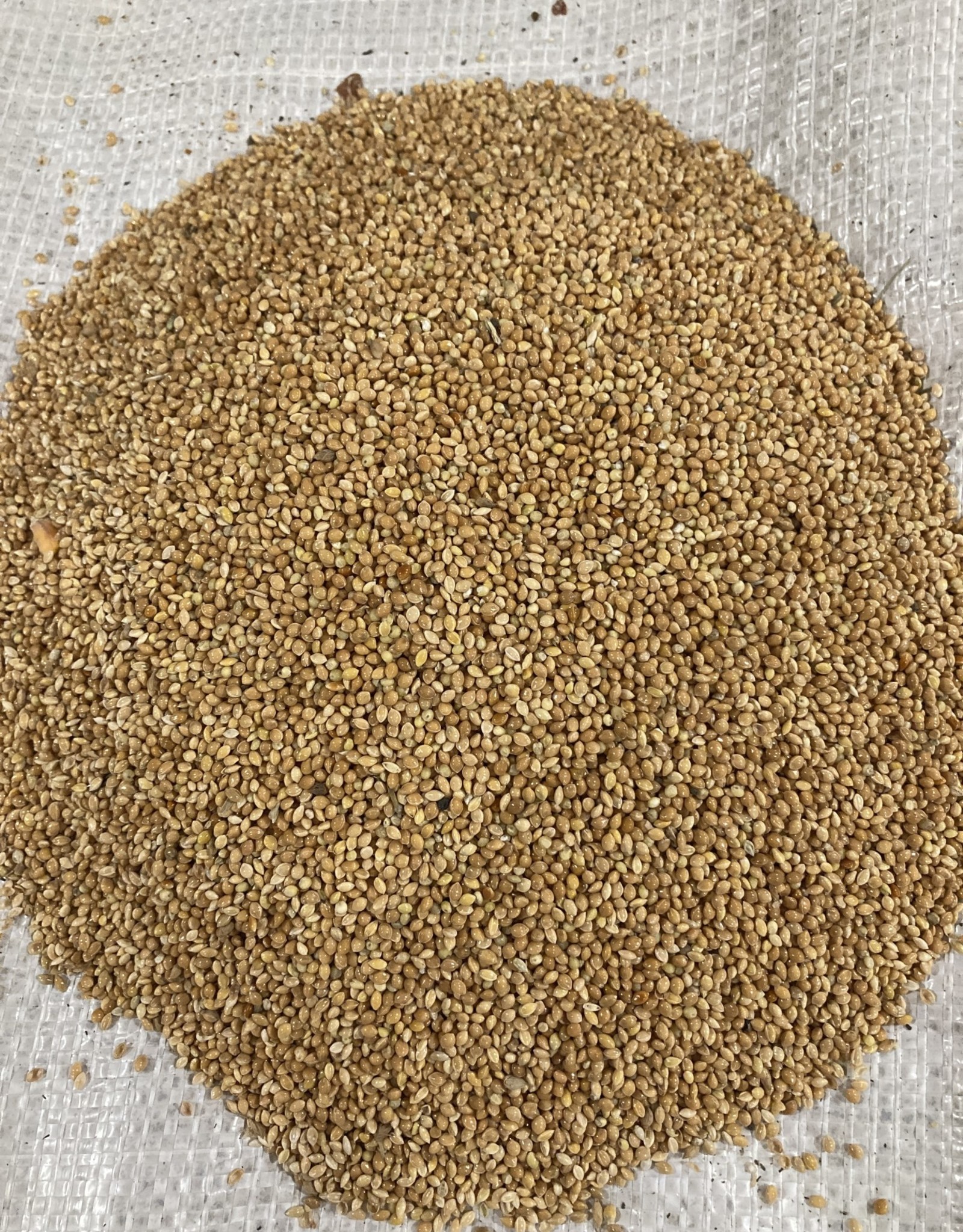 Mill Creek/Seed WMILLET12 12lb bag of white/yellow millet