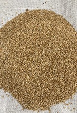 Mill Creek/Seed WMILLET7 7lb bag of white/yellow millet