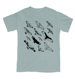 Bird Collective Hawks in Flight T-shirt Dusty Blue