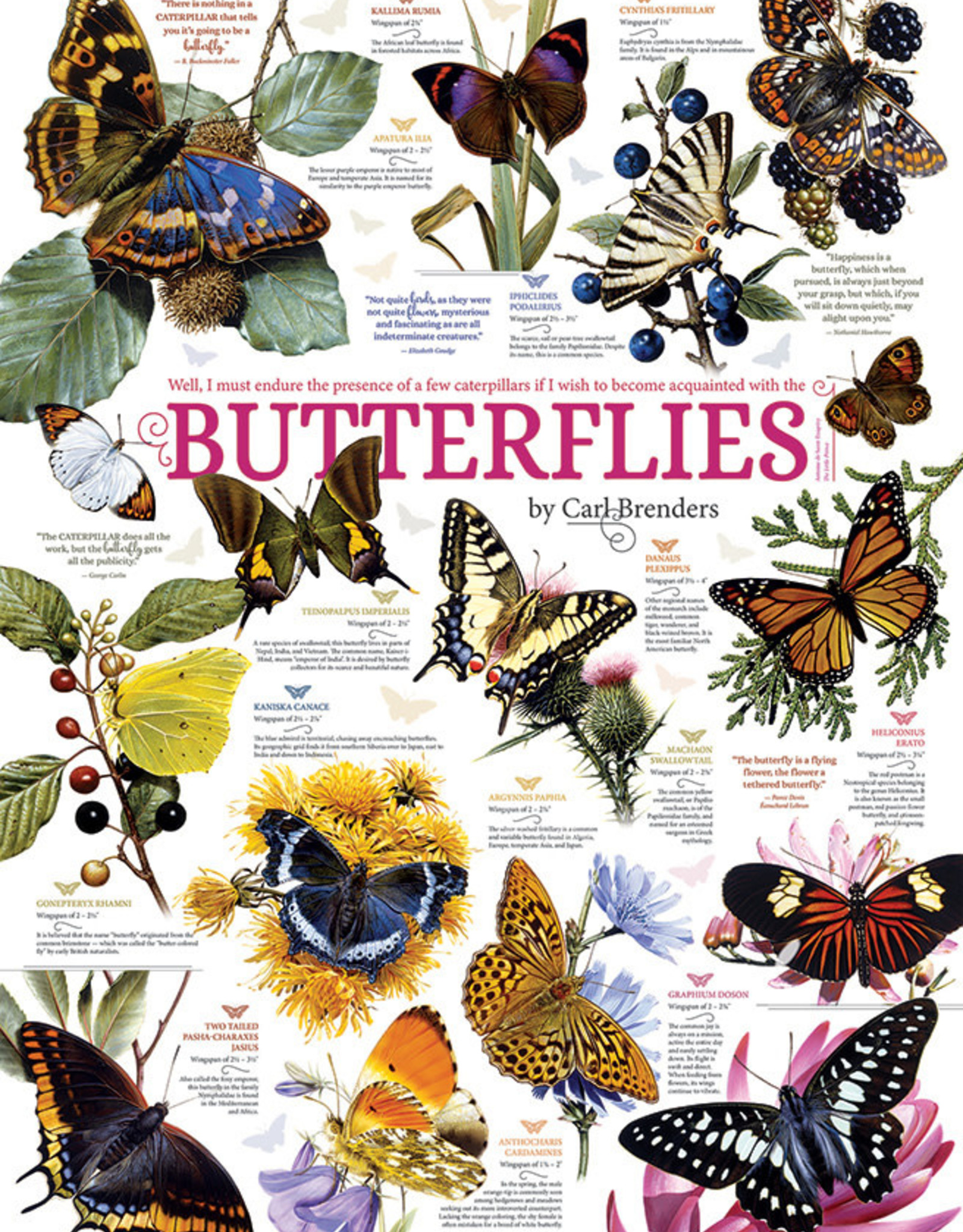 Cobble Hill Puzzles OM80015 Butterfly Collection 1000pc Cobble Hill Puzzle