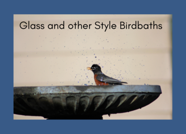 Glass and other Birdbaths