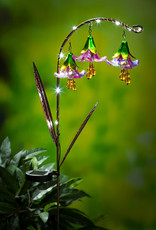Evergreen 42"H Twinkling Light Solar Garden Stake w/Trio of Glass Flowers Evergreen 42"H Twinkling Light Solar Garden Stake w/Trio of Glass Flowers