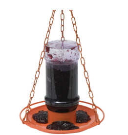 Perky Pet WS253 Oriole Jelly Feeder