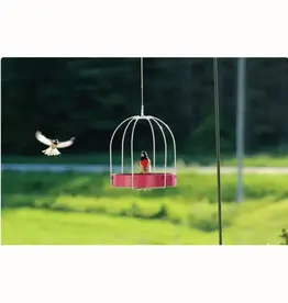 Pinebush PB10079 Framed Metal Platform Feeder-Fuchsia