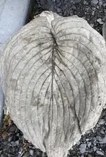 Brookside Cottage BCHOSTASM Small Hosta Leaf Cement Birdbath