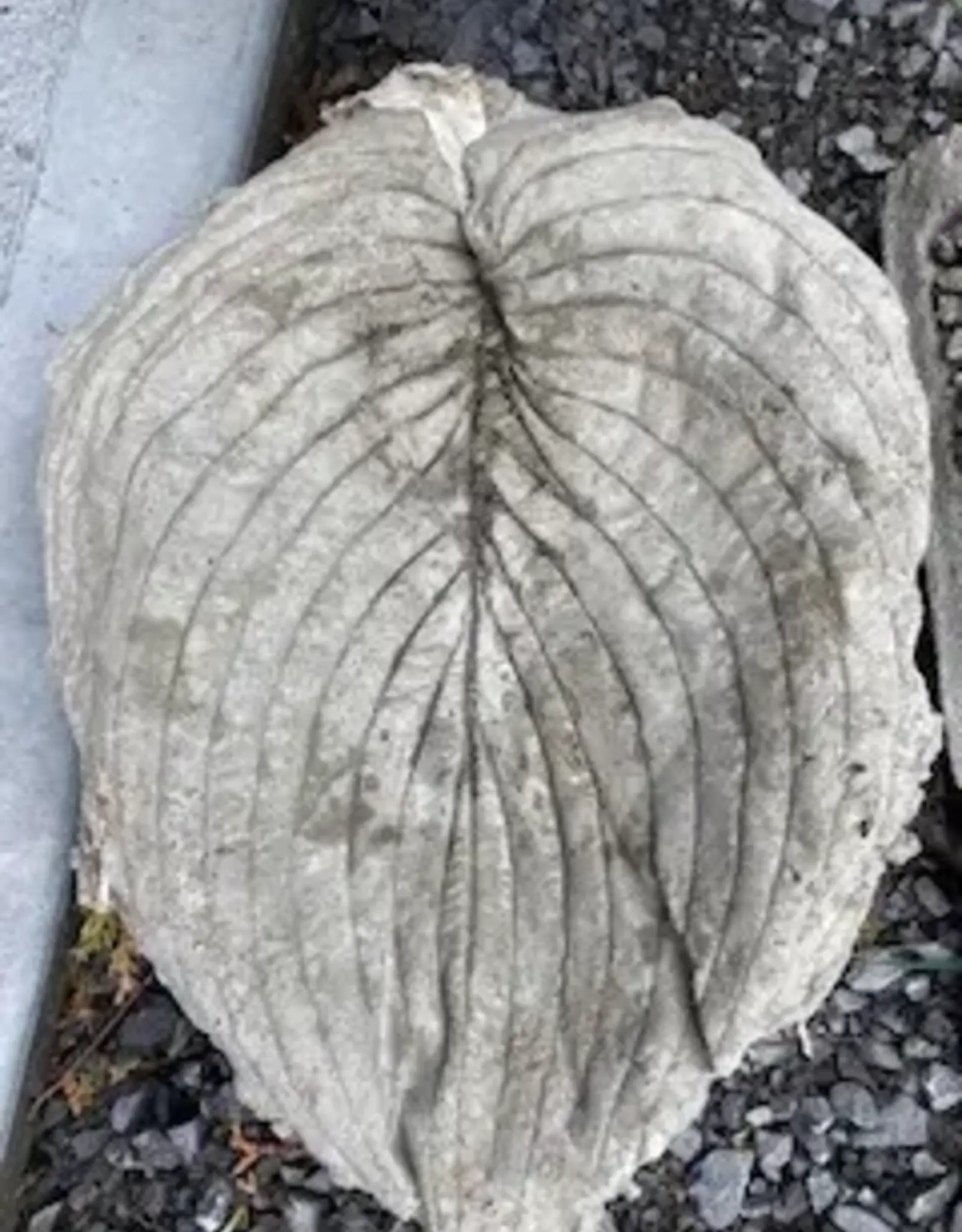 Brookside Cottage BCHOSTASM Small Hosta Leaf Cement Birdbath