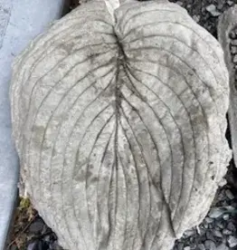 Brookside Cottage BCHOSTASM Small Hosta Leaf Cement Birdbath