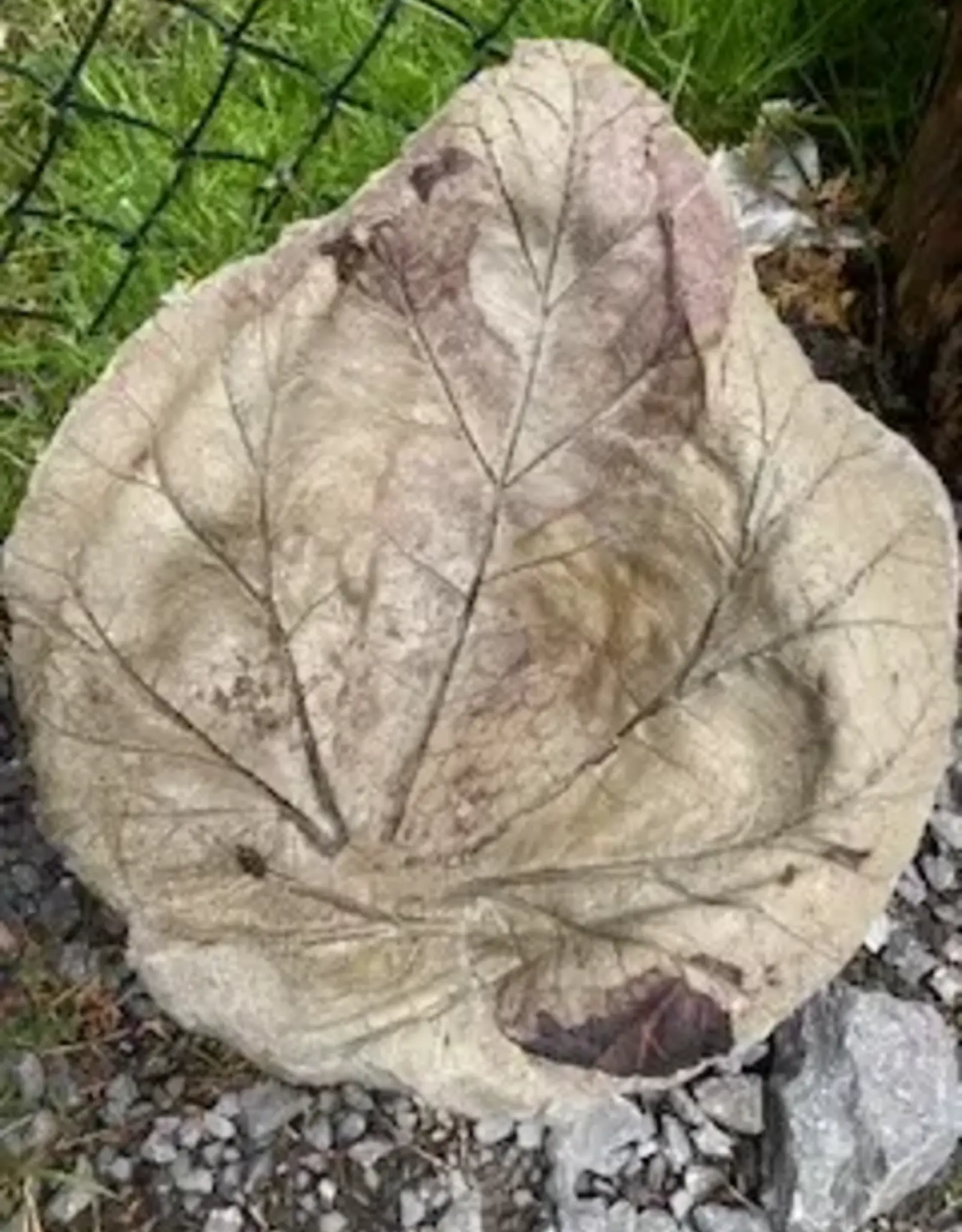 Brookside Cottage BCSMRHB SMALL RHUBARB CEMENT BIRDBATH
