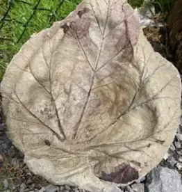 Brookside Cottage BCXSMRHB  XTRA SMALL RHUBARB CEMENT BIRDBATH