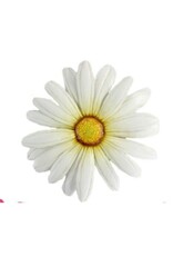 FRANS KOPPER Daisy Metal Wall Plaque