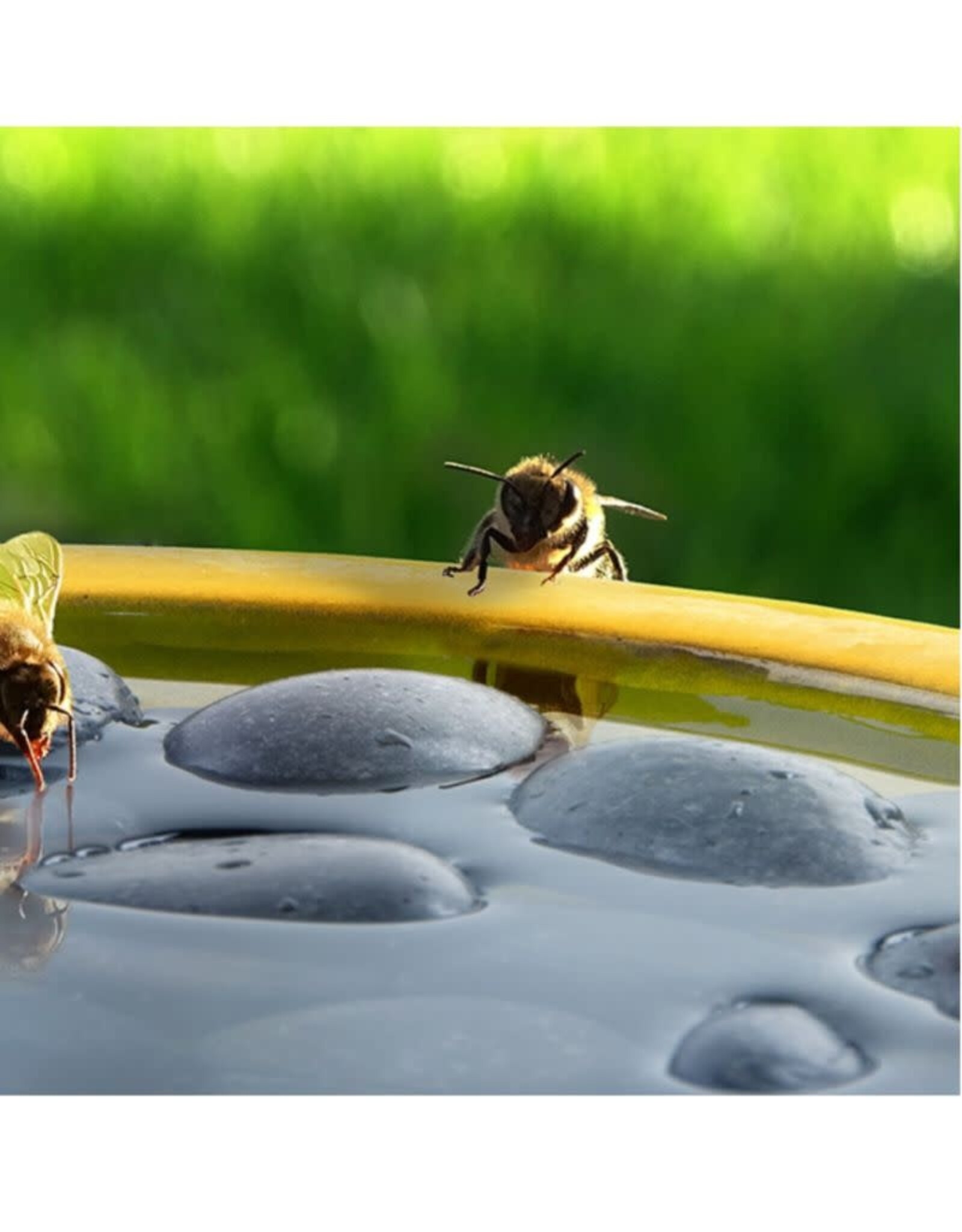 North American Country Home NACHWA78 Bee and Butterfly Bath