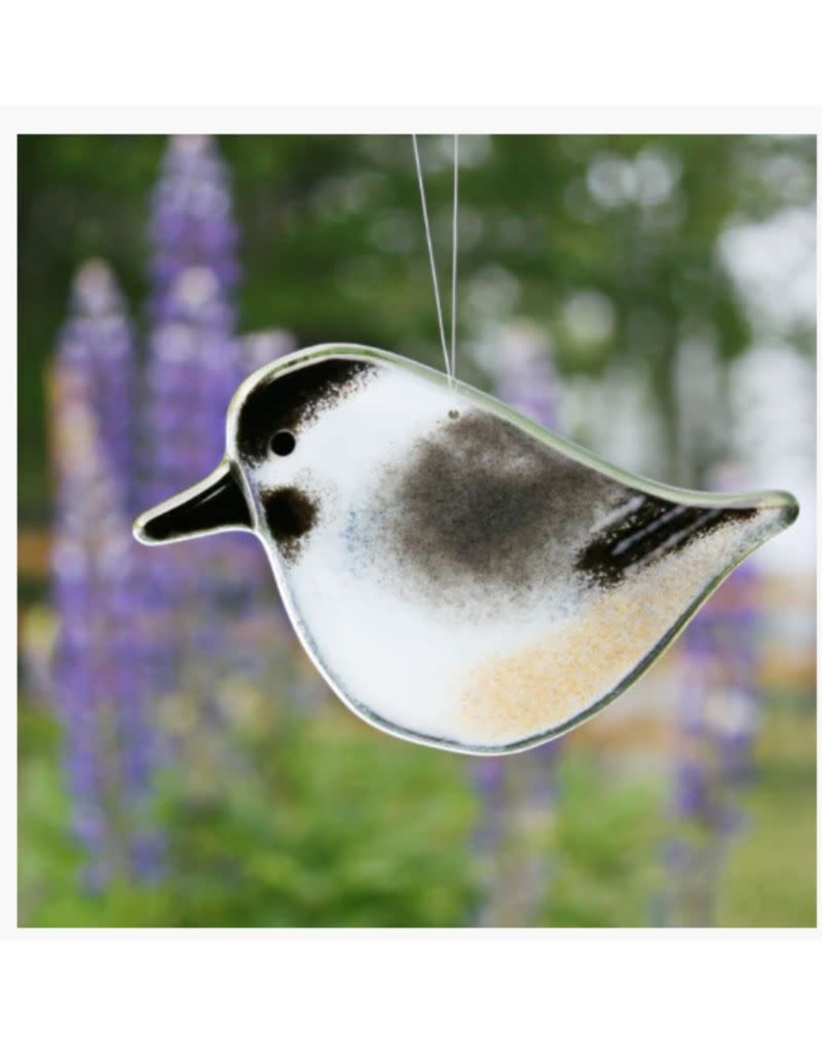 The Glass Bakery - Nova Scotia Fused Glass Birds and Gifts – The Glass  Bakery Ltd