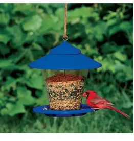 Audubon WK23952-6231B  Granary Style Mixed Seed Feeder, Blue