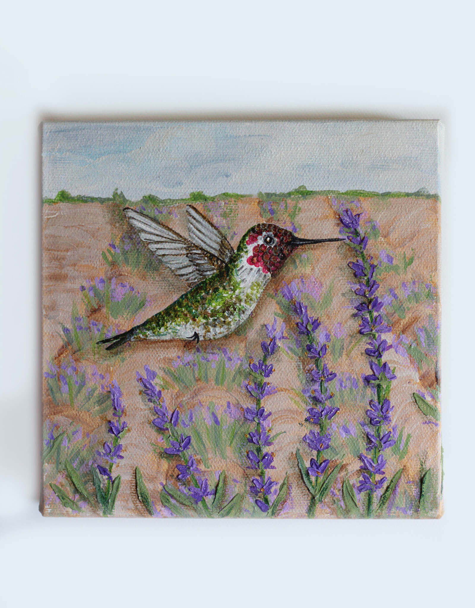 Artist - Alicia Galambos AGLAVGLOW  Lavender Glow,  The Ruby Throated Hummingbird ,original 6x6 on canvas