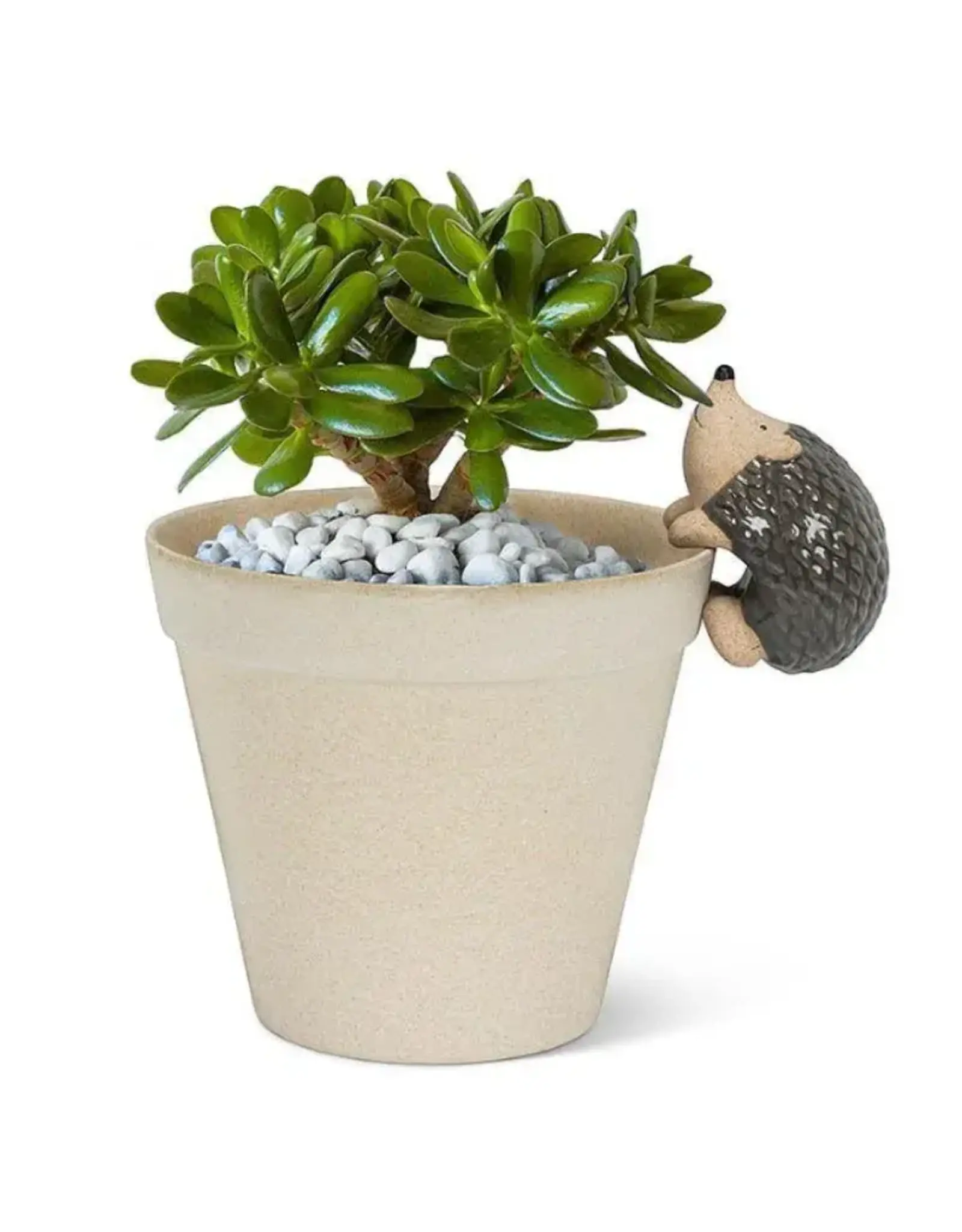 Abbott Climbing Hedgehog Pot Hanger-3.5"L