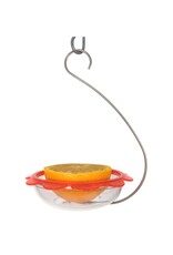 Droll Yankee DYBOHM Hanging Oriole Feeder plastic dish on curved wire