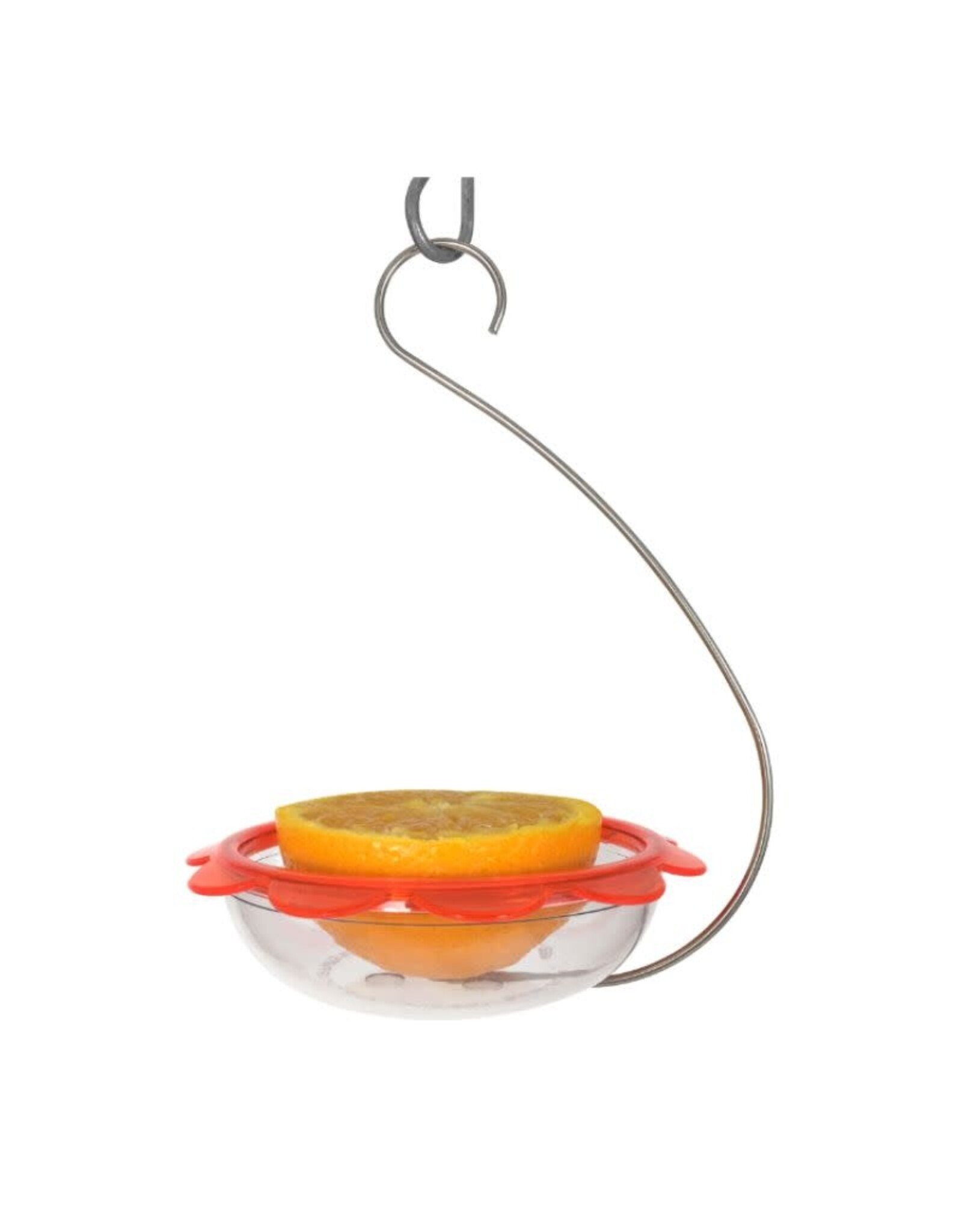 Droll Yankee DYBOHM Hanging Oriole Feeder plastic dish on curved wire